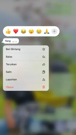 Notif wa dari ayang