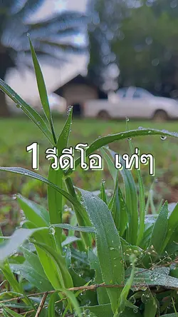 1 วีดีโอ เท่ๆ 