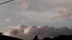 UMAASA