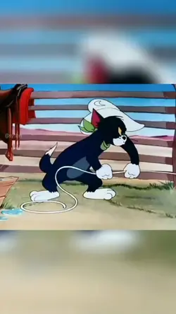 Tom And Jerry 