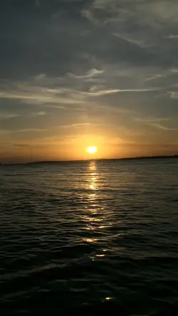 IG reels