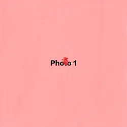 Pics or memories