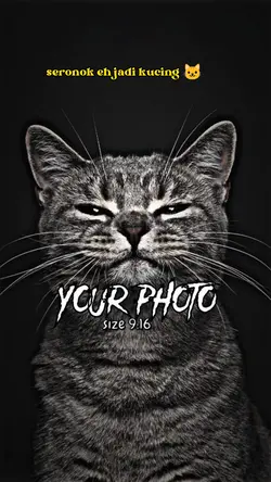 JADI KUCING 