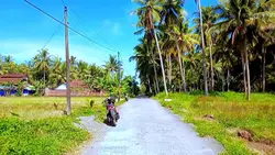 cinematic HD nih