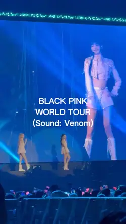 Blackpink Concert 