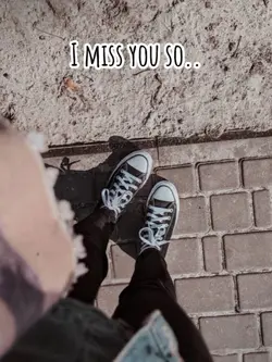 Where'd you go
