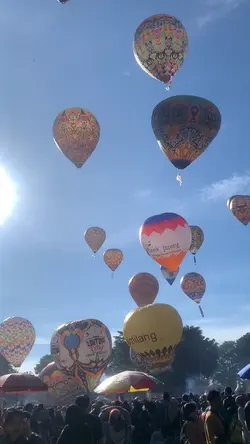Festival