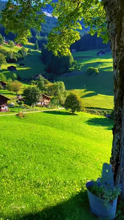 NATURAL ALAM