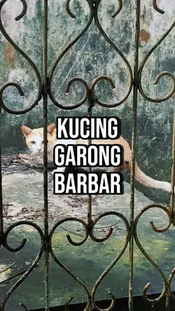 Kucing oyen berulah