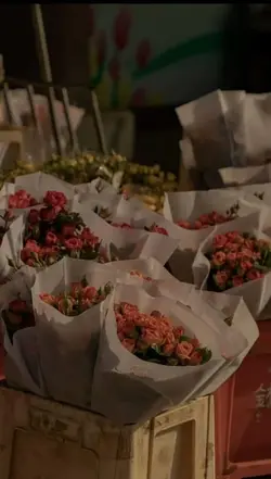 PHONG DẠ HÀNH REMIX 