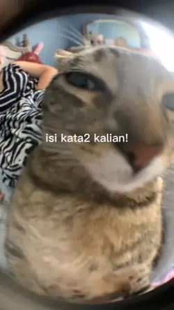 #Mentahan #Isitext
