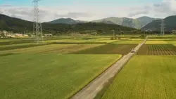 Versi drakor