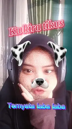 #TikusLabaLaba