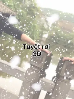 3D