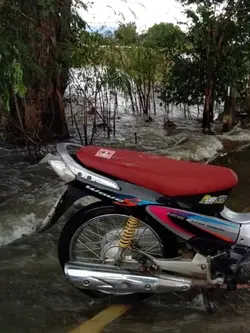 รถเก่า-ใหม่ 