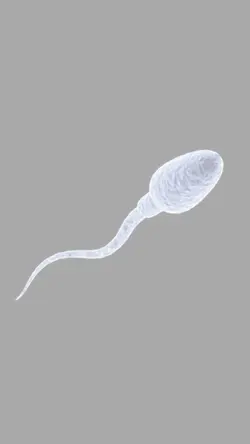 Glow up