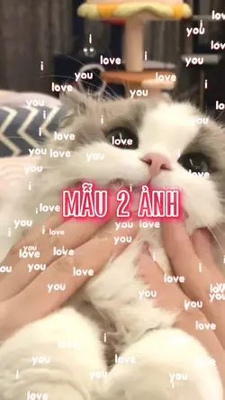 Beat 2 ảnh cute