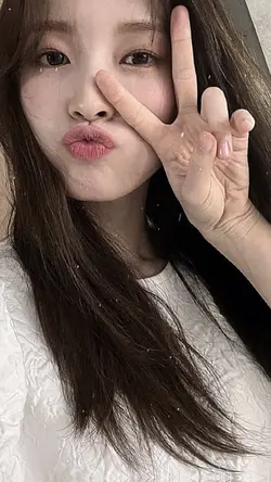 org ak syg bgt sm km