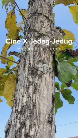 Cinematic X JJ