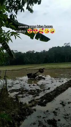 cewe bawa traktor