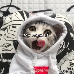MY NAME IS !!!