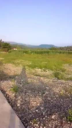 Nice place