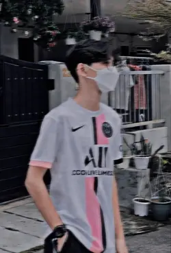 anjing jalanan