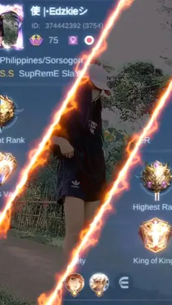ML FLEX myday