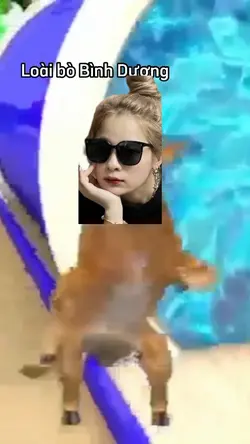 Troll bạn bè