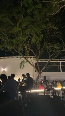 percuma
