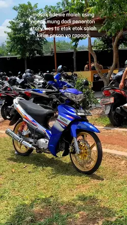 P ngnu gak popo wes