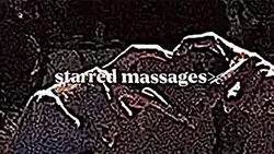 Starred Message 