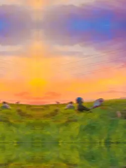 🌾🌾 mẫu 6ảnh