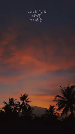 Sunset aesthetic