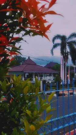 cinematography 