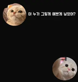 우리 엄마엄마가