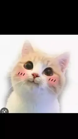 귀엽다