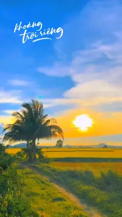 1video + màu xinh