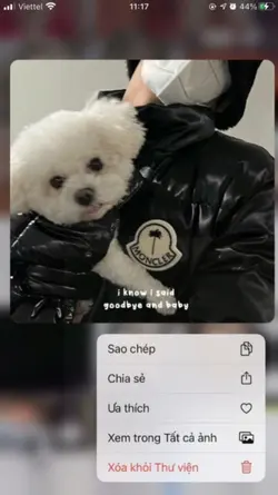 Delete Photo?