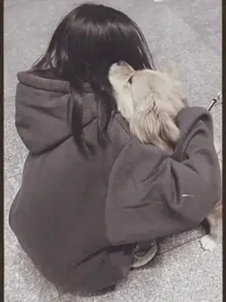 puppy