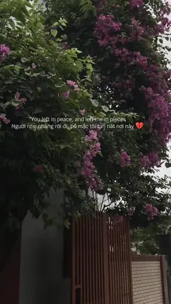 1 ảnh lấy vd
