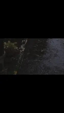 video estetik