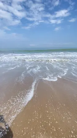 vlog