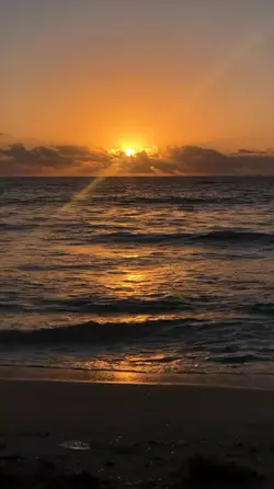 1 video 4 pictures 