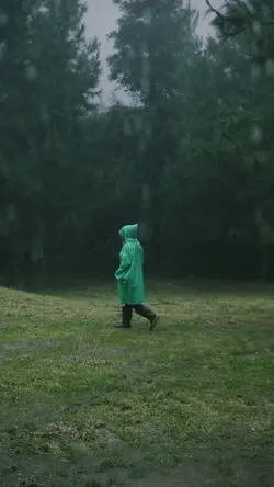 Snowfall