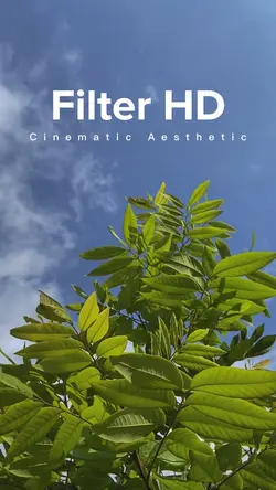 Cinematic HD