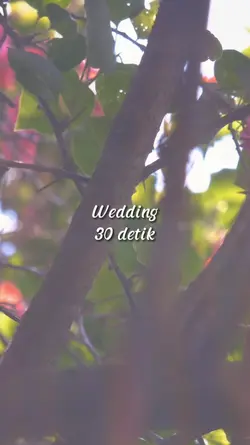 Wedding 30 detik