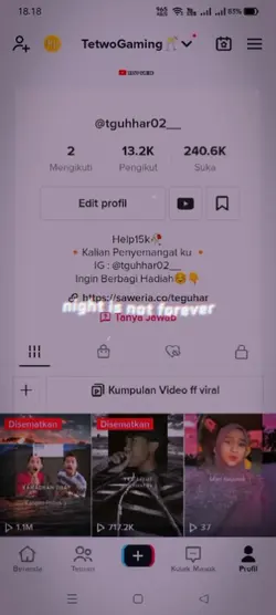 PROFIL TIKTOK