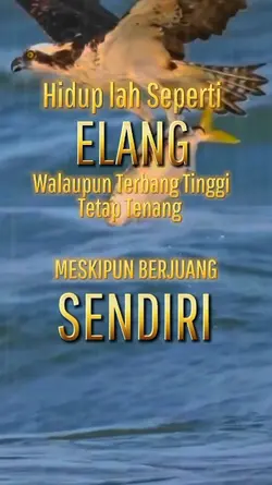HiduplahSepertiElang