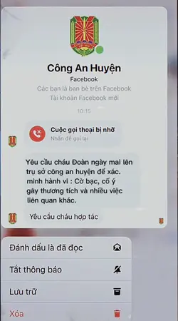 mẫu troll 